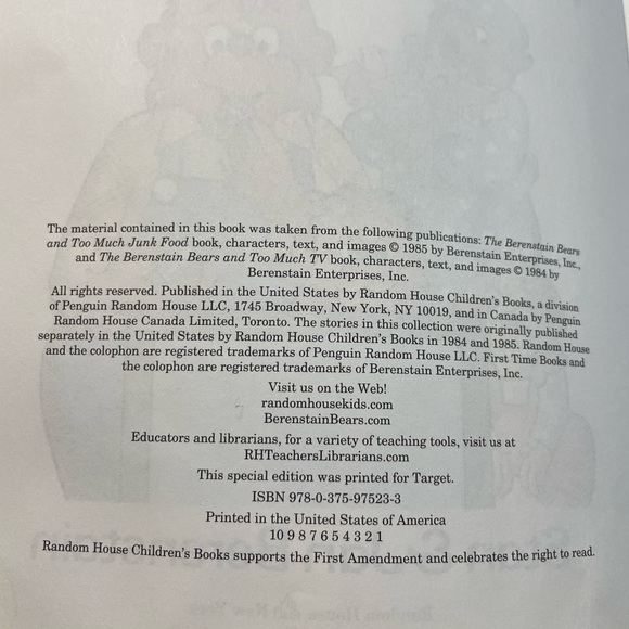 Berenstain Bears Too Much Trouble Book - Picture 4 of 8